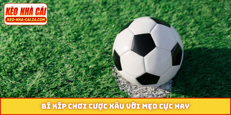 Bí kíp chơi cược xâu với mẹo cực hay