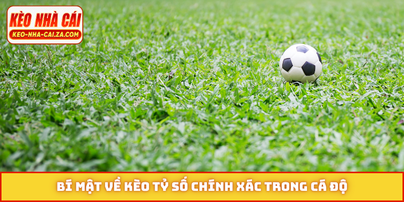 Bí mật về kèo tỷ số chính xác trong cá độ