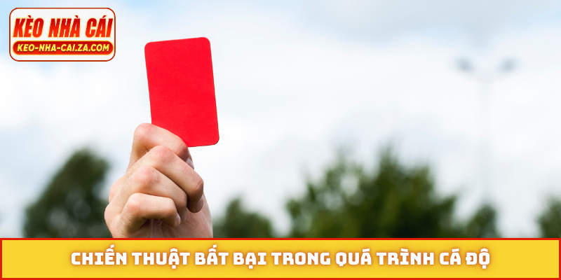 Chiến thuật bất bại trong quá trình cá độ