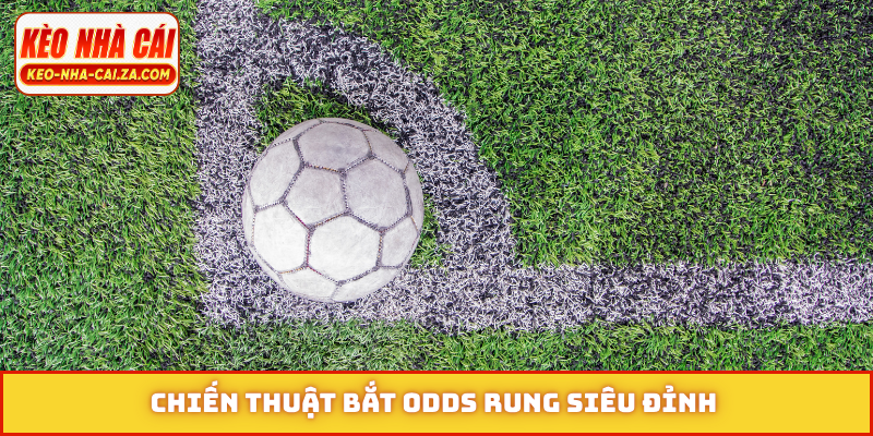 Chiến thuật bắt odds rung siêu đỉnh