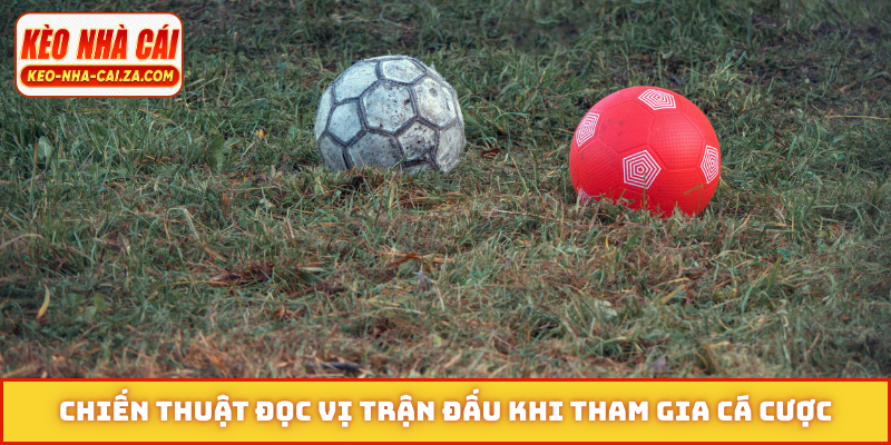 Chiến thuật đọc vị trận đấu khi tham gia cá cược