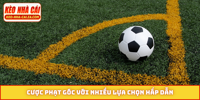 Cược phạt góc với nhiều lựa chọn hấp dẫn