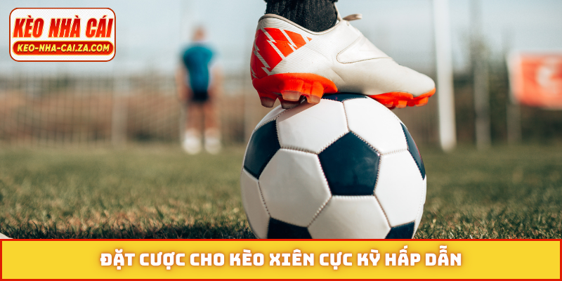 Đặt cược cho kèo xiên cực kỳ hấp dẫn