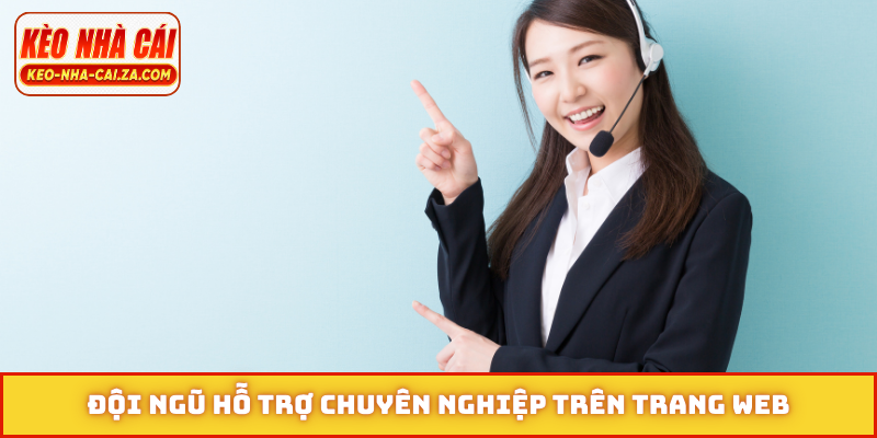 Đội ngũ hỗ trợ chuyên nghiệp trên trang web