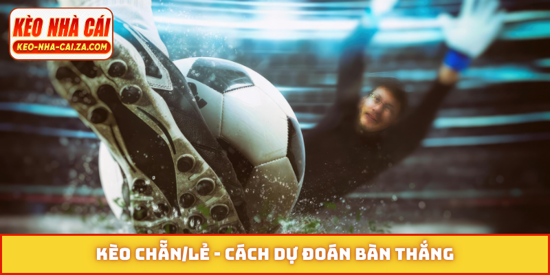 Kèo chẵn-lẻ