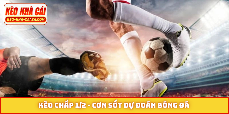 Kèo chấp 1-2