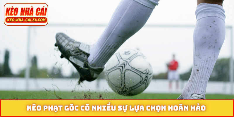 Kèo phạt góc có nhiều sự lựa chọn hoàn hảo