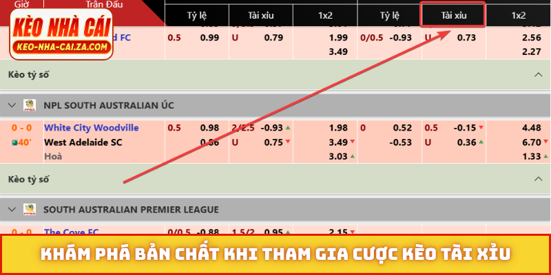 Khám phá bản chất khi tham gia cược kèo tài xỉu