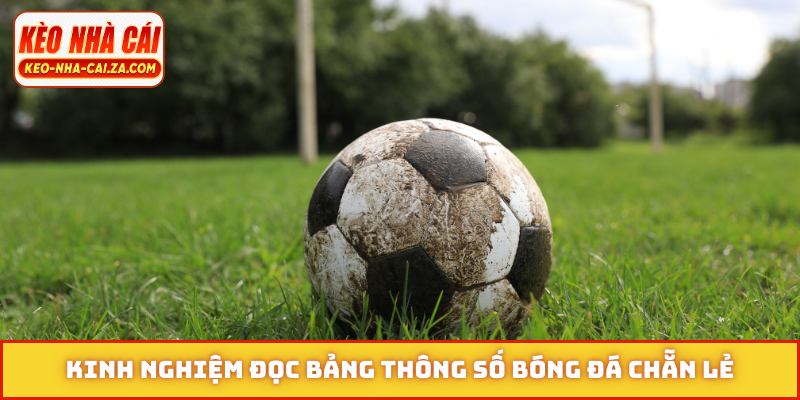 Kinh nghiệm đọc bảng thông số bóng đá chẵn lẻ