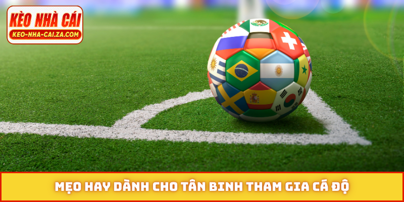 Mẹo hay dành cho tân binh tham gia cá độ