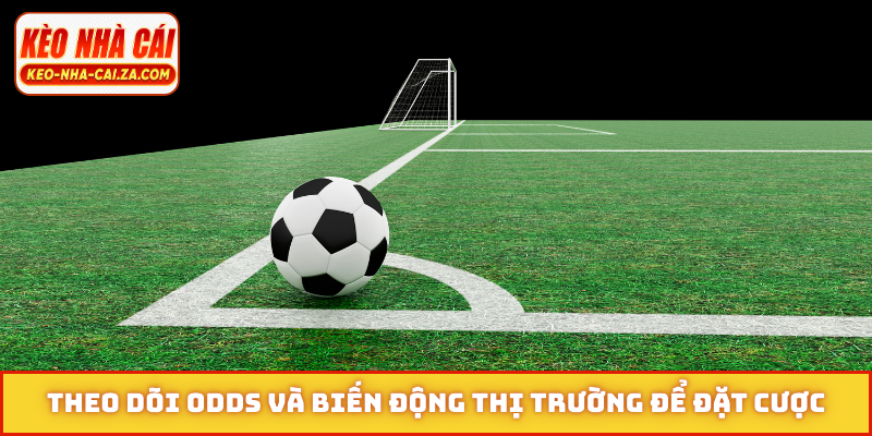 Theo dõi odds và biến động thị trường để đặt cược