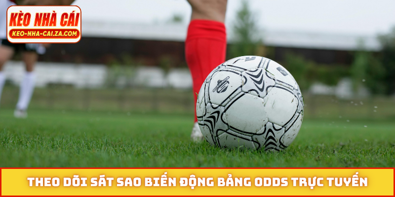Theo dõi sát sao biến động bảng odds trực tuyến