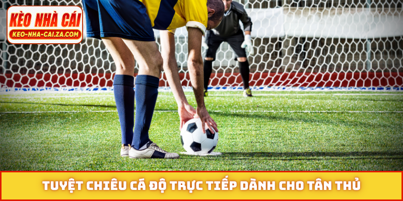 Tuyệt chiêu cá độ trực tiếp dành cho tân thủ