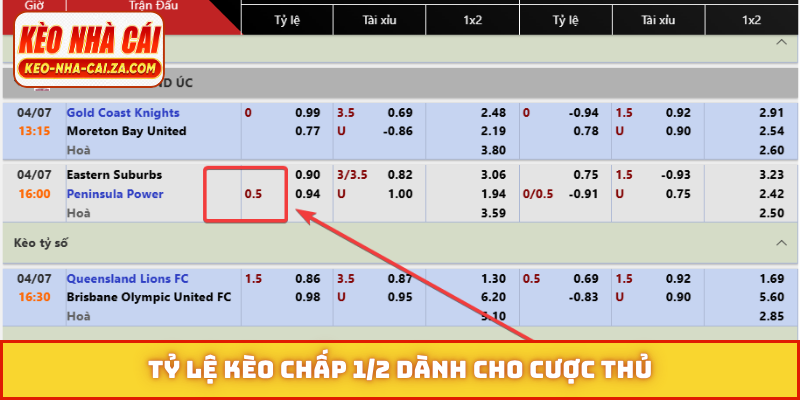 Tỷ lệ kèo chấp 1/2 dành cho cược thủ